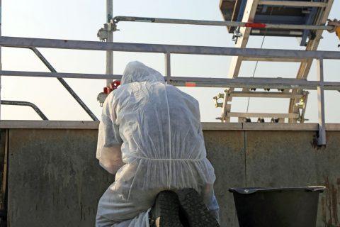 Commercial Asbestos Removal