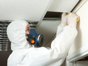 The Safe Removal of Asbestos – An Extremely Involved Process