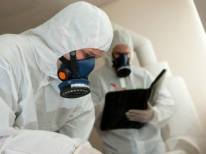 Identifying Asbestos: How to Go About It